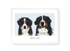 Huisdier portret blauw met twee honden