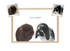 Duo huisdier portret – Minimalist