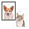 Voorbeeld portret hond en portret kat