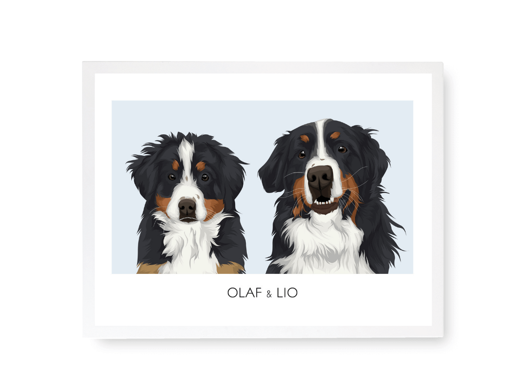 Huisdier portret blauw met twee honden
