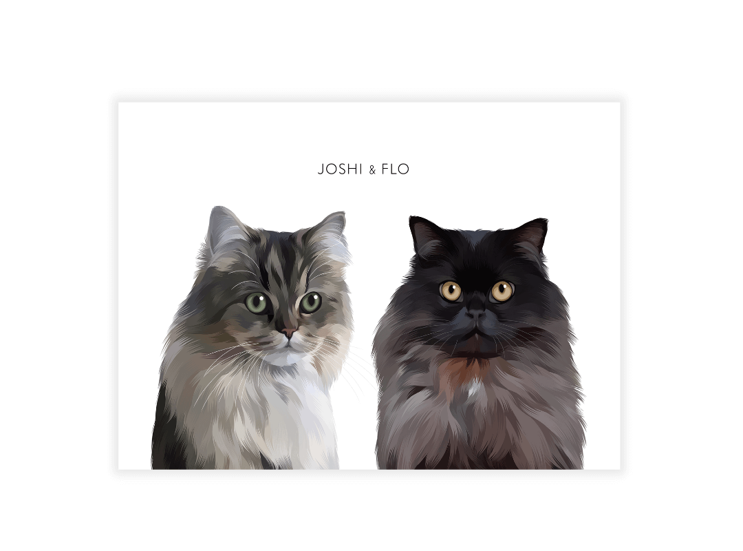 Huisdier portret zonder lijst met twee katten